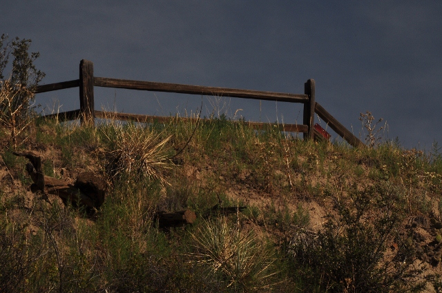 Along the Ute Trail